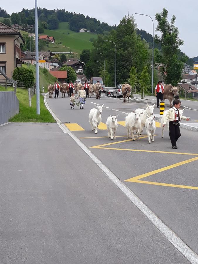 Klein Aber Fein Apartamento Urnäsch Exterior foto
